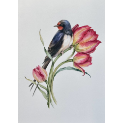 A swallow and the tulips