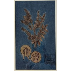 Botanical series - Indigo 