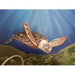 Sea Turtle