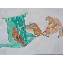 Family feeds together