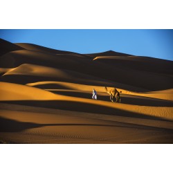 Liwa desert