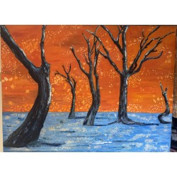 Dawn Sunrise Dawn Sunrise